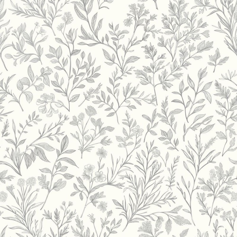 Image de Tessan Grey - 1060601-02